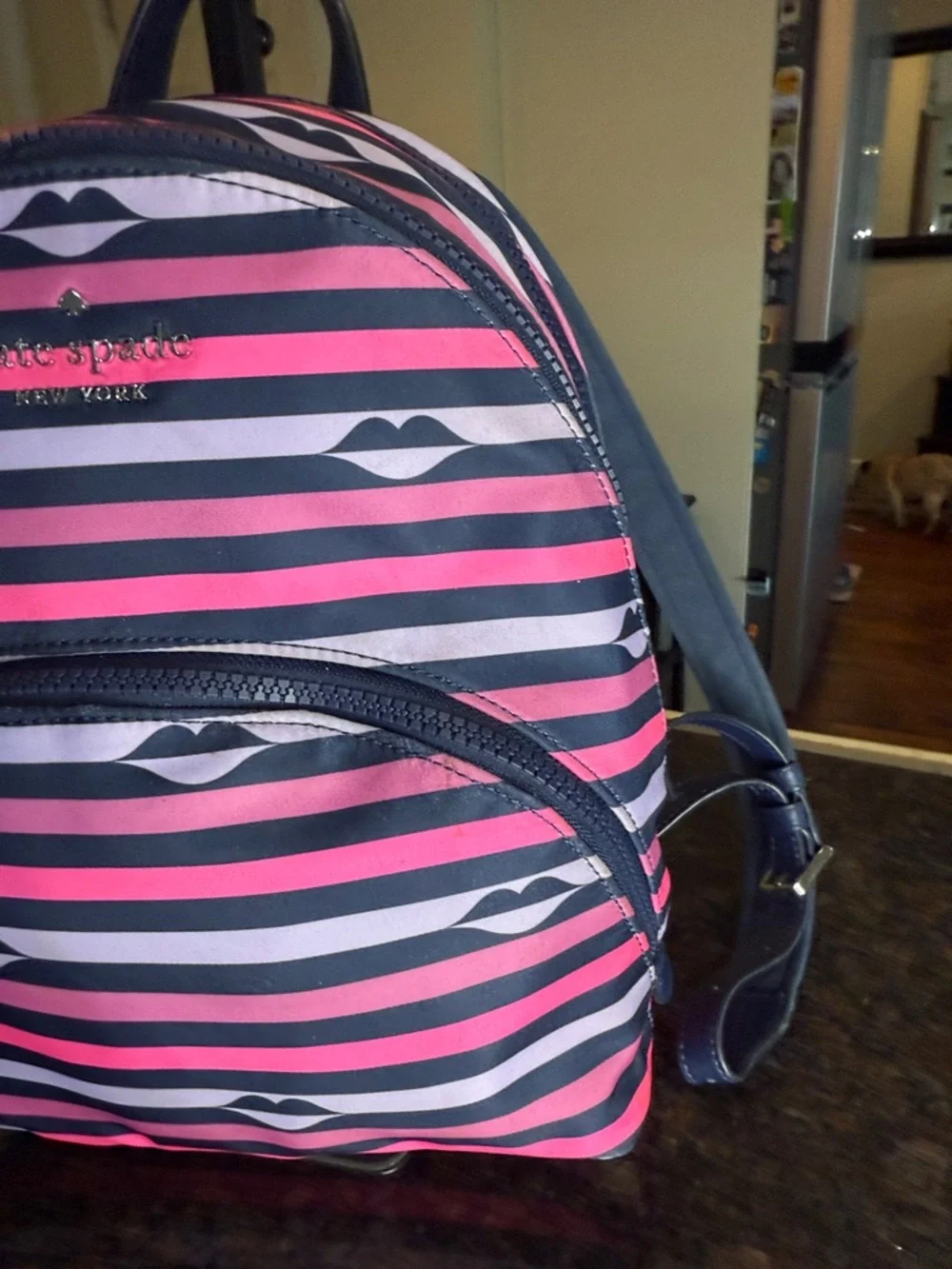 kate spade Navy & Pink Striped Mini Backpack with Lip Motif